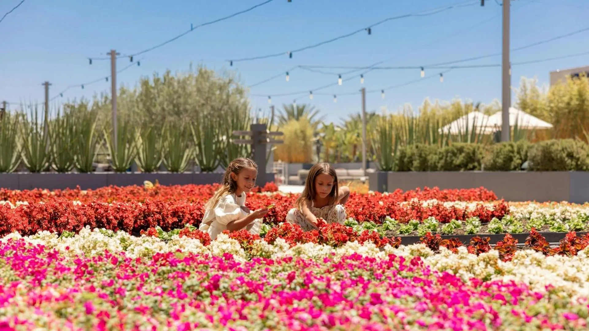 Jw Marriott, Anaheim Resort 5*,  United States